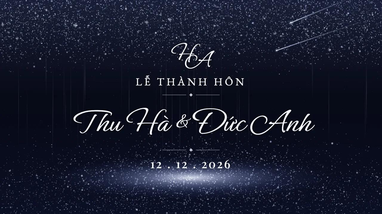ZenMotion - màn hình LED tiệc cưới hiệu ứng Đêm sao băng